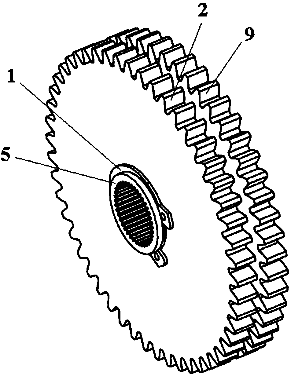 Anti-backlash gear