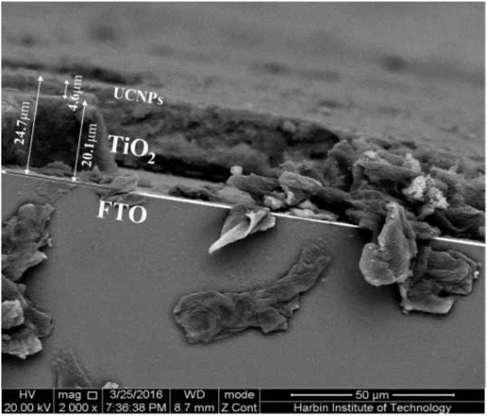 Infrared dye cascade sensitized dye-sensitized solar cell photoanode and preparation method thereof