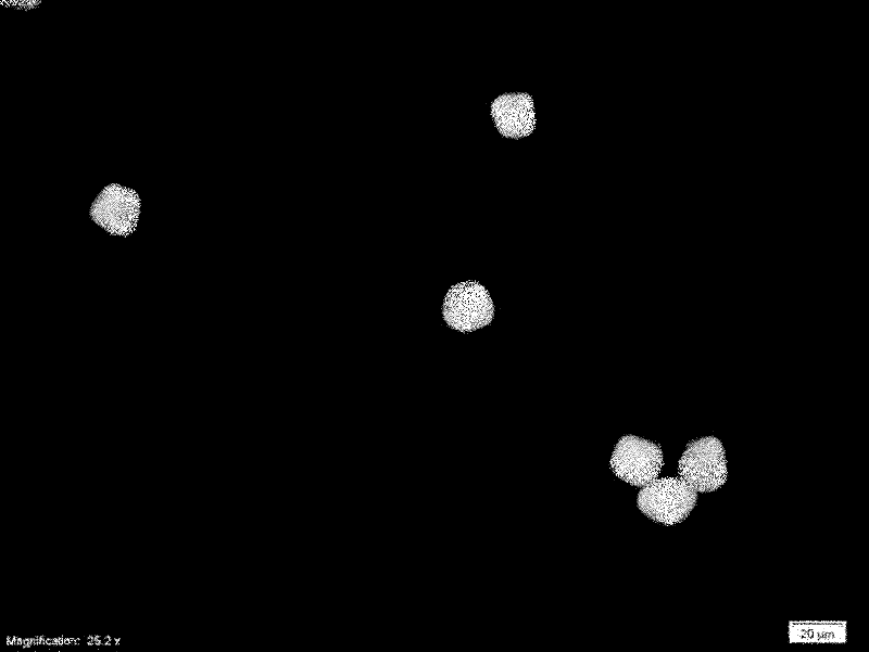 Monoclonal antibody, immune fluorescence method and kit for detecting three rusts