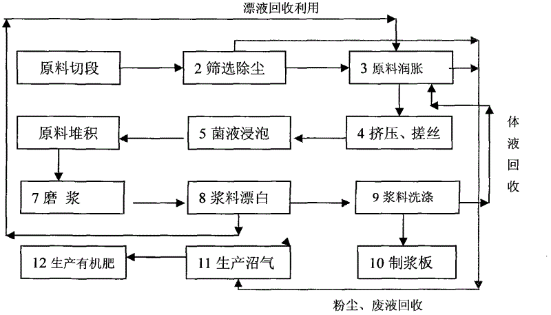 Biological accumulation pulping method