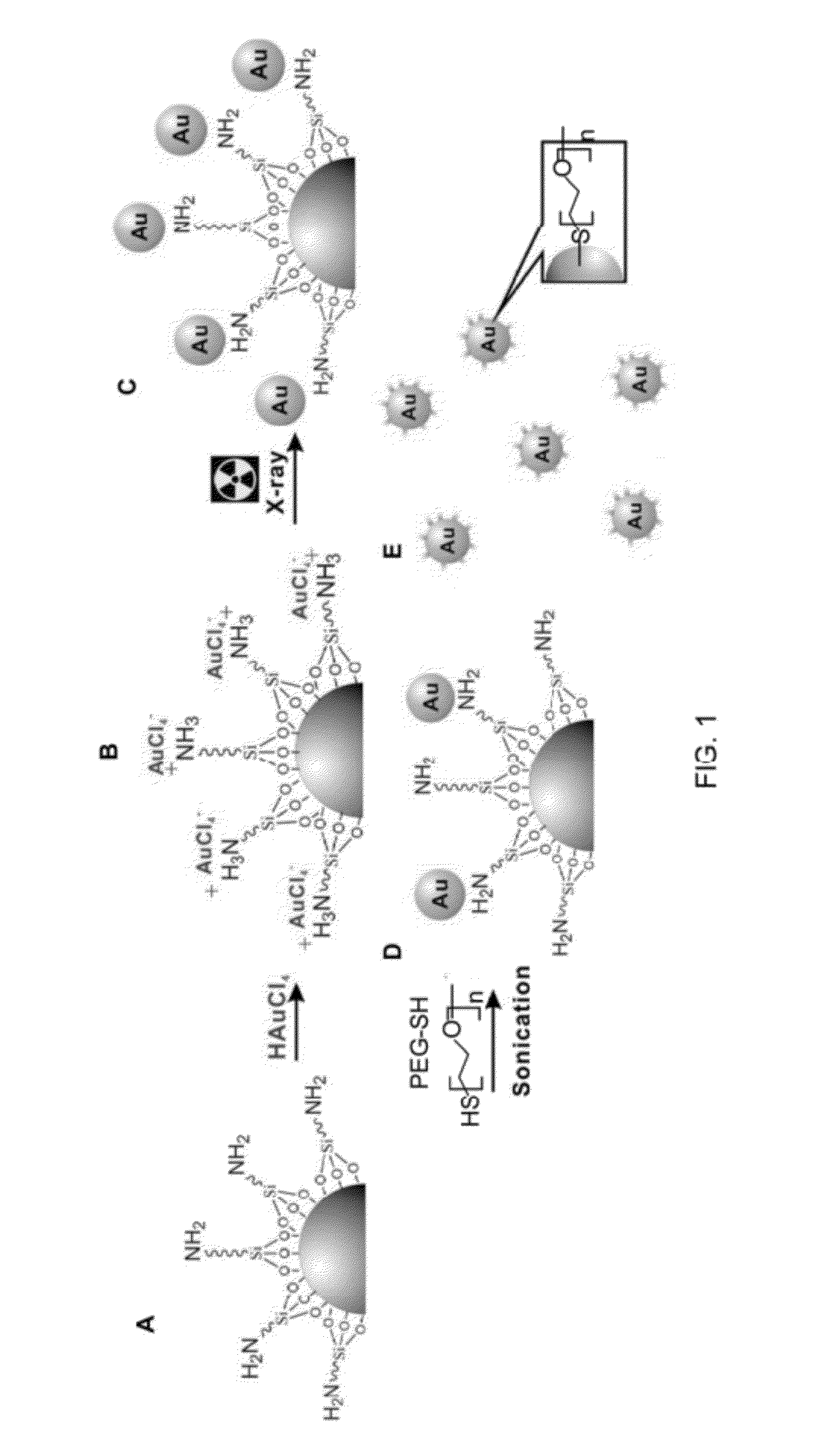 Solid phase gold nanoparticle synthesis