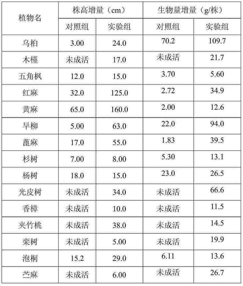 Organic bacterial manure for lead zinc ore contaminated soil remediation and preparation method of organic bacterial manure