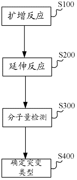 Kit, method and application for detecting mutation of predetermined locus in DNA sample