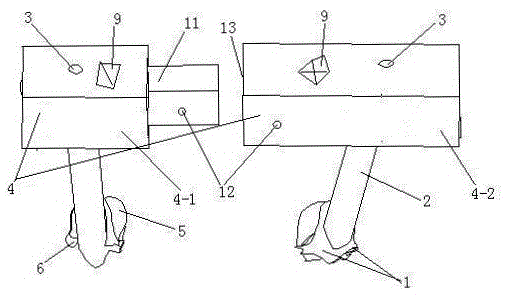 Disassembly type double-side type percutaneous individualized pedicle screw guiding template