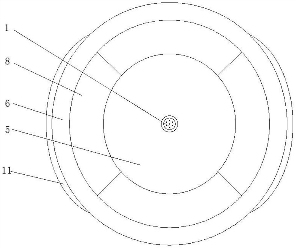 Vaginal irrigation device for gynecological nursing, which is convenient for collecting backflow liquid