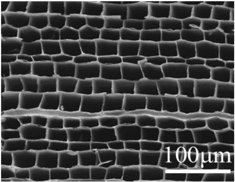 Method for preparing porous charcoal pieces capable of realizing efficient photo-thermal steam converting