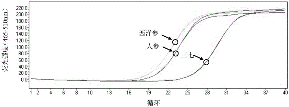 Method for detecting whether Araliaceae plant components exist in sample and whether sample is adulterate