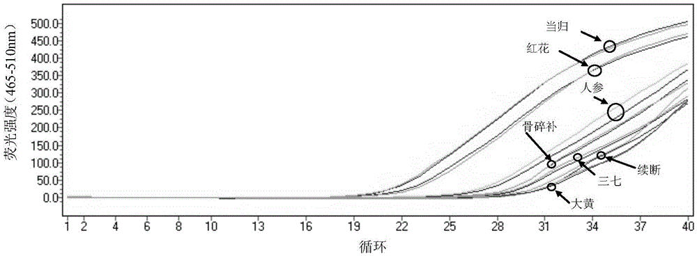 Method for detecting whether Araliaceae plant components exist in sample and whether sample is adulterate