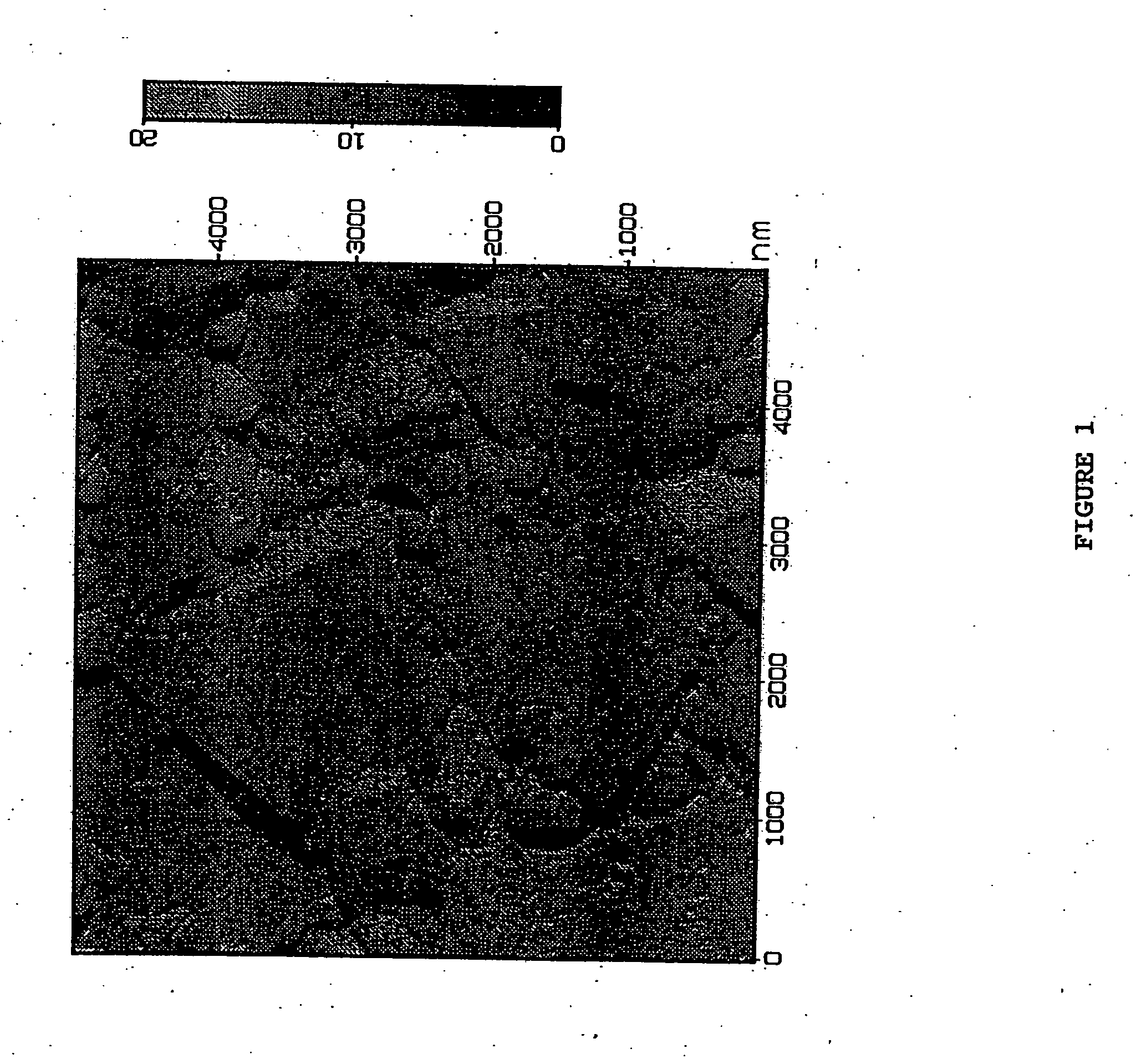 Electrically conductive diamond electrodes