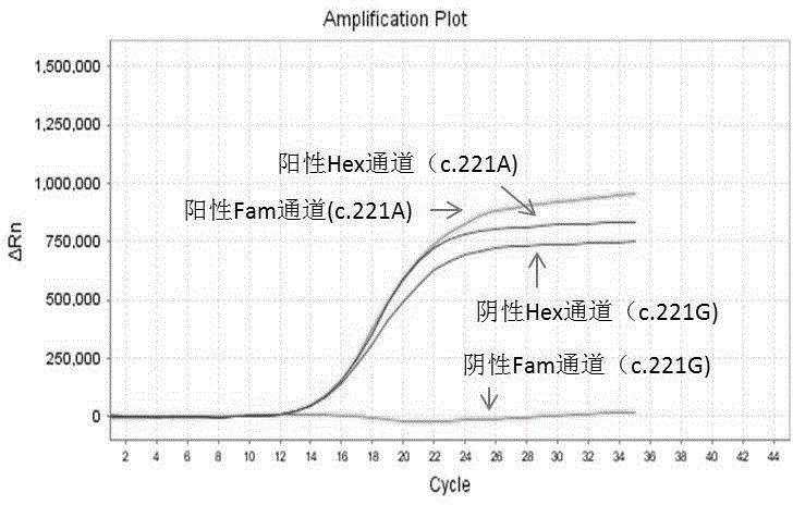 Primer, probe, fluorescence PCR kit and method for detecting human UGT1A1 gene polymorphism