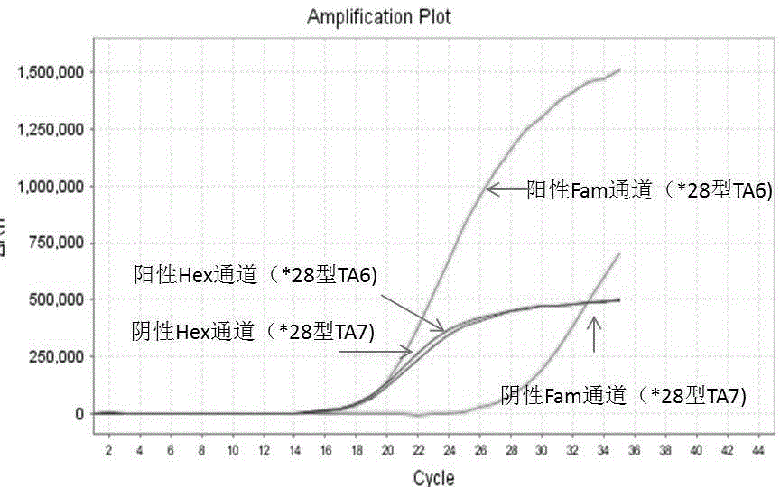 Primer, probe, fluorescence PCR kit and method for detecting human UGT1A1 gene polymorphism