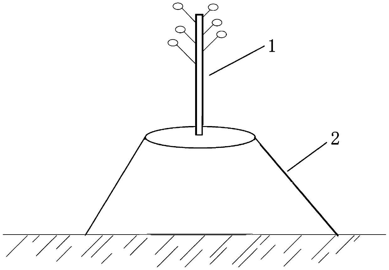 Water-saving, grass-preventing and film-covering planting method for bougainvillea spectabilis willd.