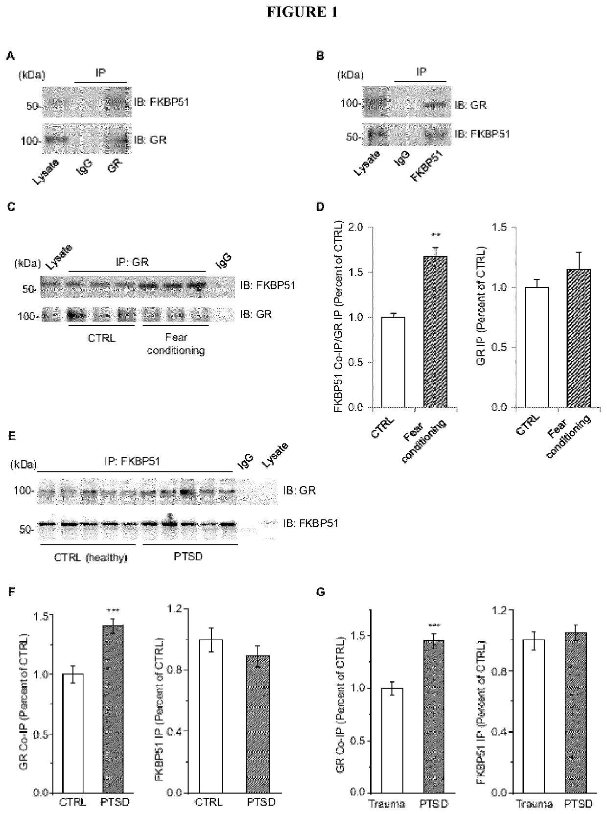 Methods for diagnosing or treating post-traumatic stress disorder, and compositions therefor