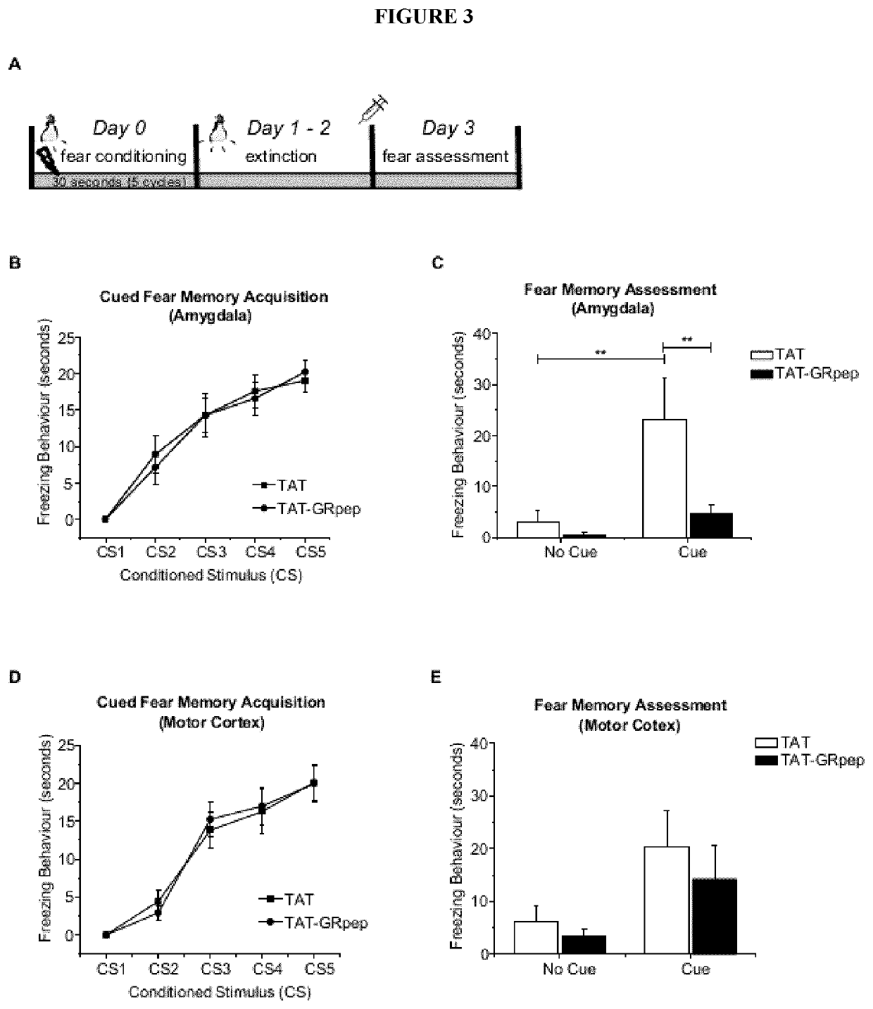 Methods for diagnosing or treating post-traumatic stress disorder, and compositions therefor