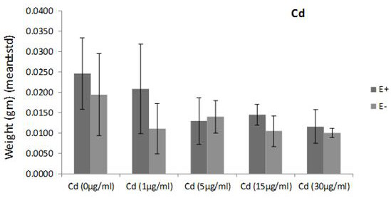 Plant endophytic fungus Epicoccum nigrum FZT214 and application thereof