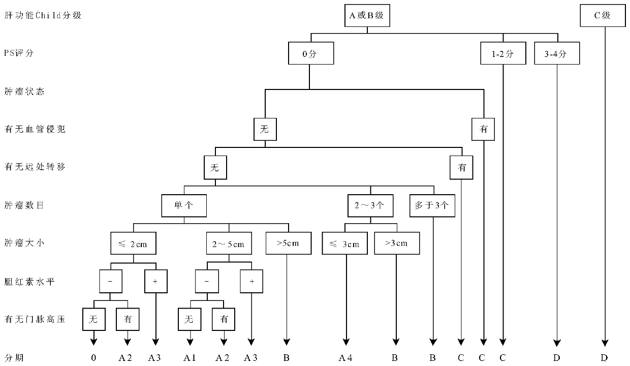 Neural-network-based liver cancer auxiliary diagnosis system, method and device, and medium