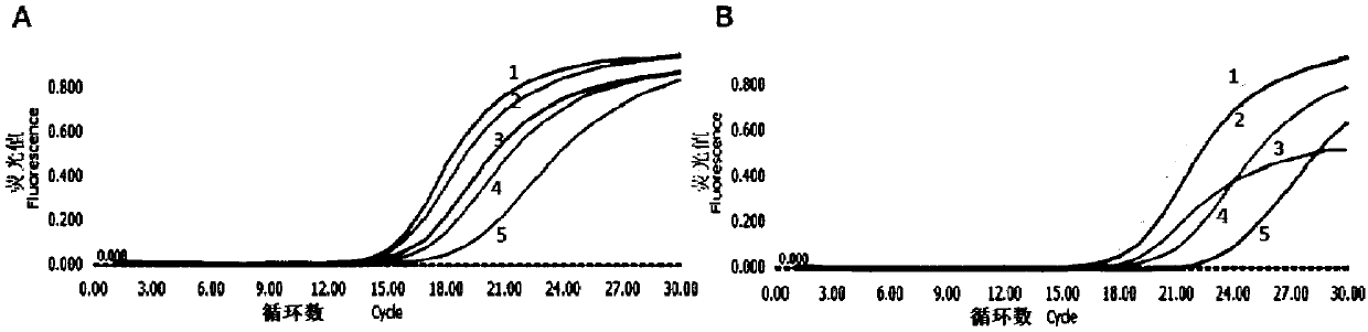 Nucleic acid amplification blocking agent for detecting low-abundance mutant sequences and application