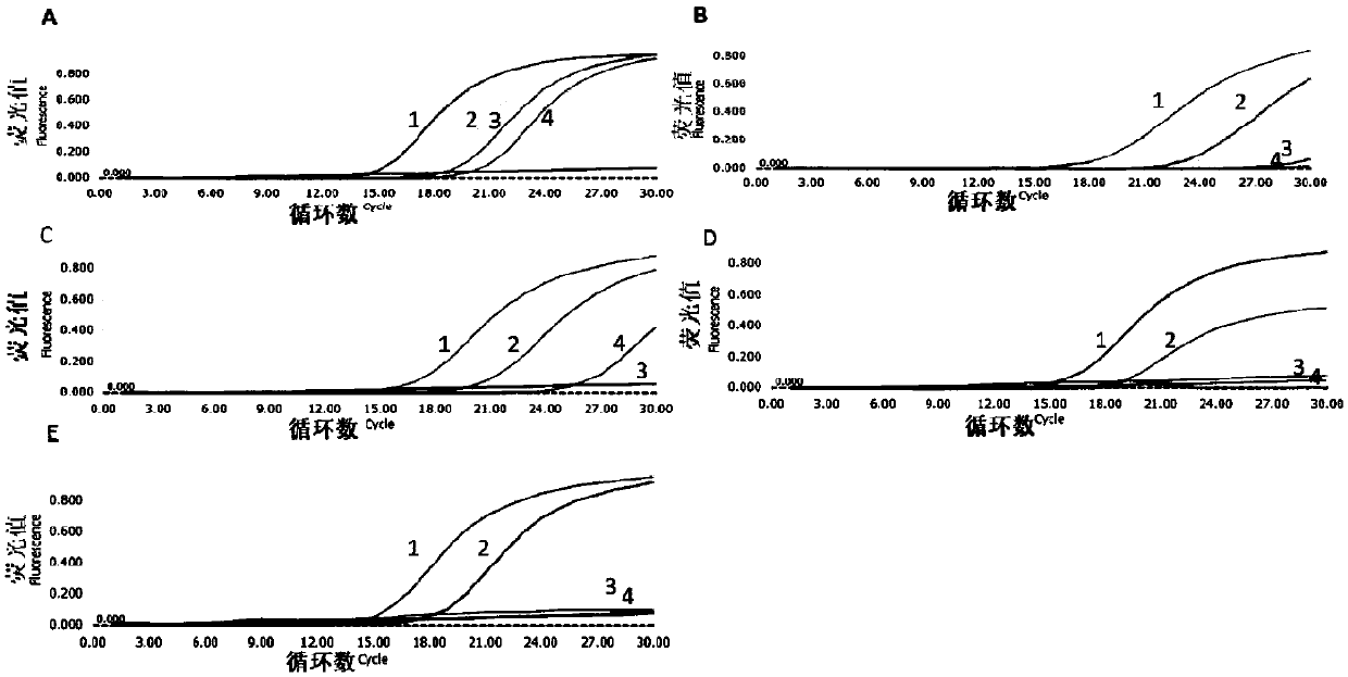 Nucleic acid amplification blocking agent for detecting low-abundance mutant sequences and application