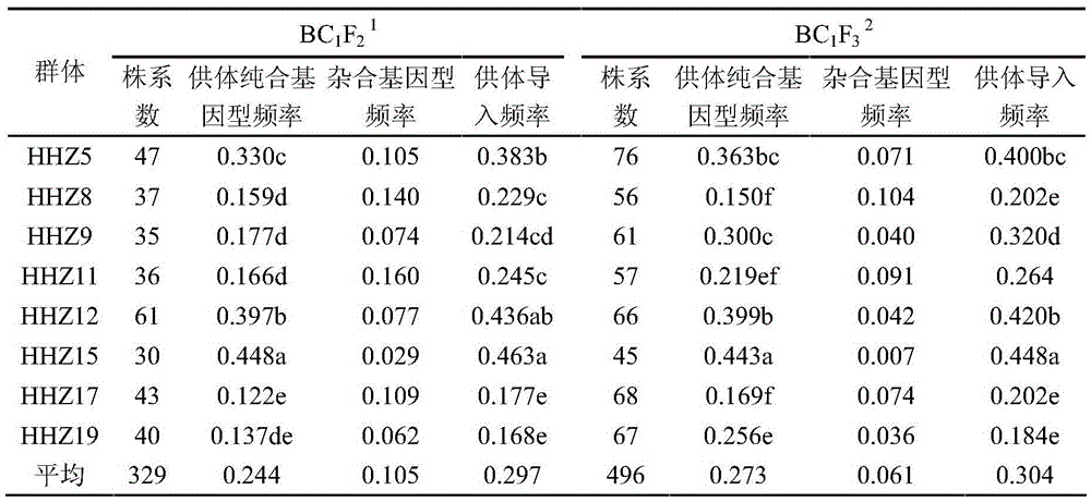 Method for rapidly stabilizing rice backcross introgression population trait