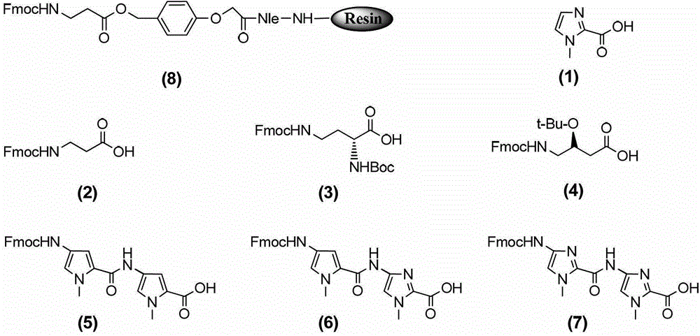 Hairpin polyamide modified by chiral (S)-beta-hydroxyl-gamma-amino acid and application for same