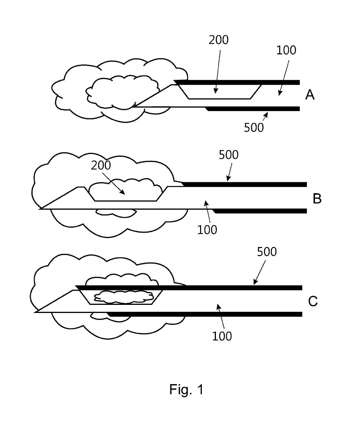 Device for obtaining 3D biopsy