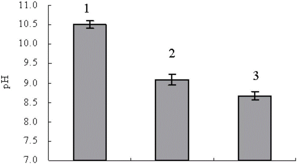 A method for rapid construction of soda salinized dry fields