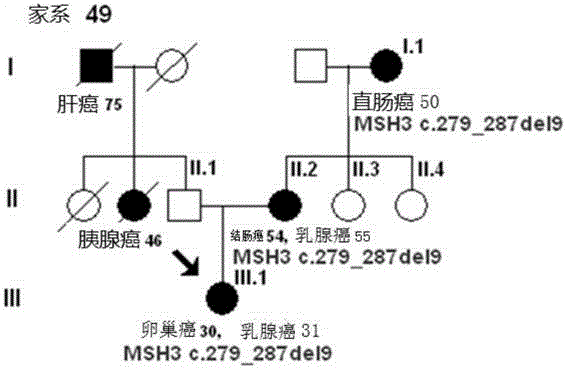 A group of mutation gene groups and detection kits for assessing breast cancer risk