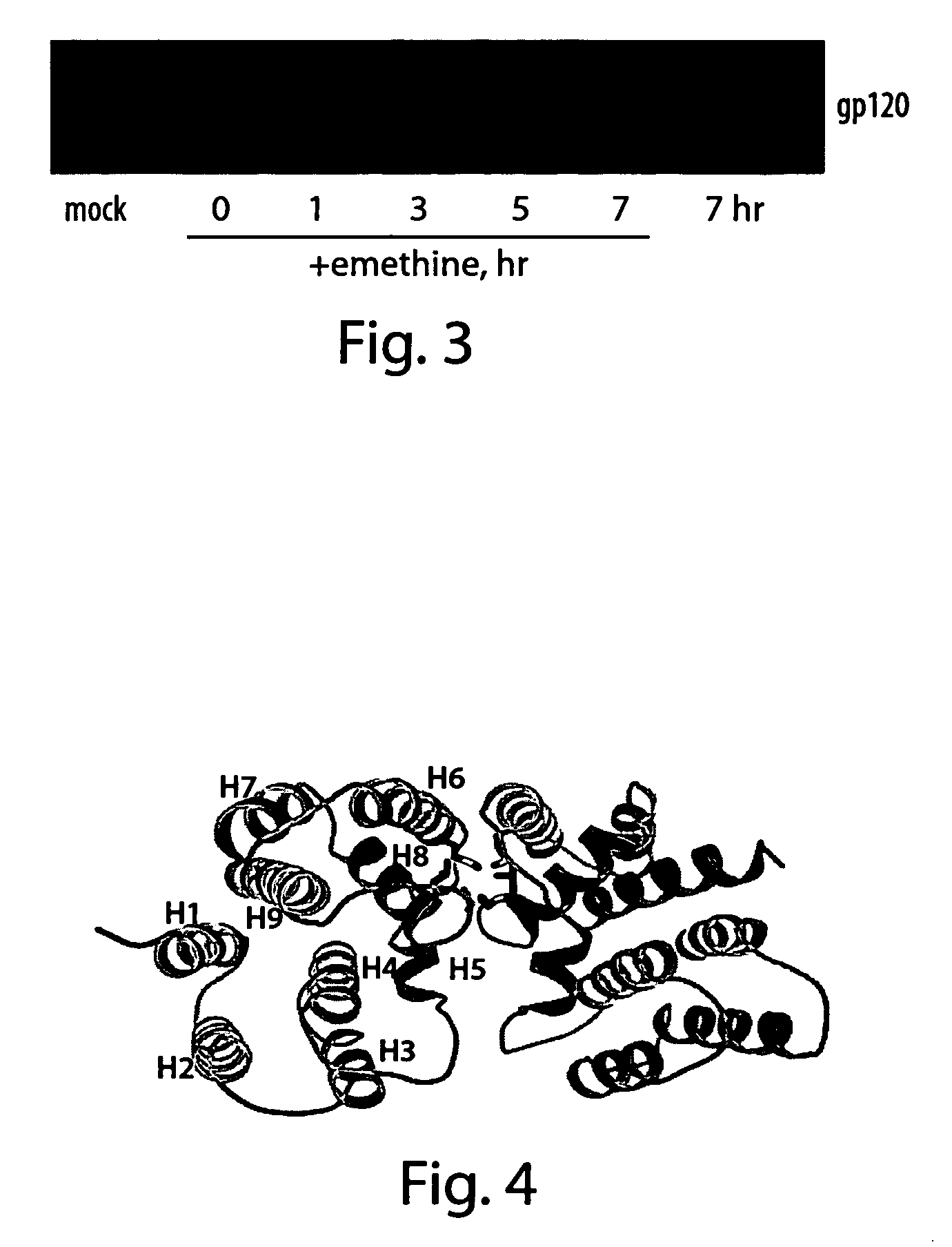 Vaccine compositions and methods