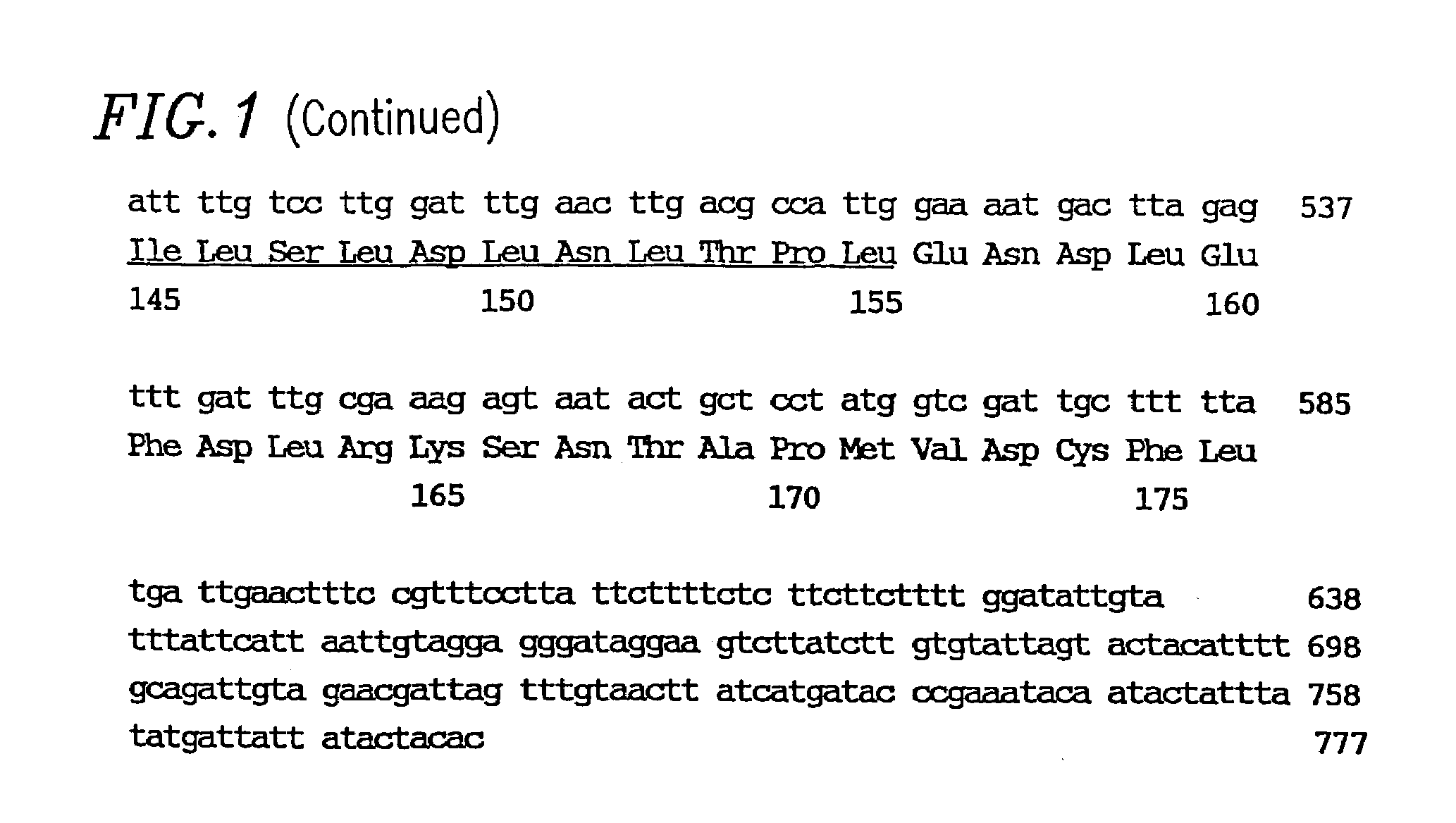 Method of making male sterile <i>petunia </i>plants by transformation with a nucleic acid encoding a zinc finger transcriptional factor