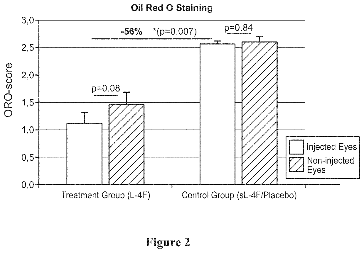 Topical delivery of therapeutic agents using cell-penetrating peptides for the treatment of age-related macular degeneration and other eye diseases