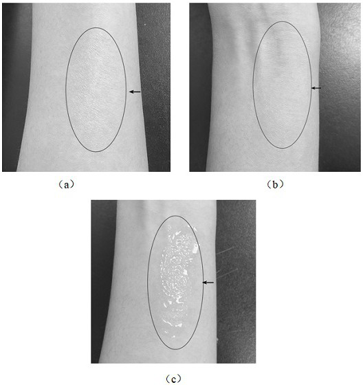 Liquid dressing for promoting wound repair and preparation method thereof