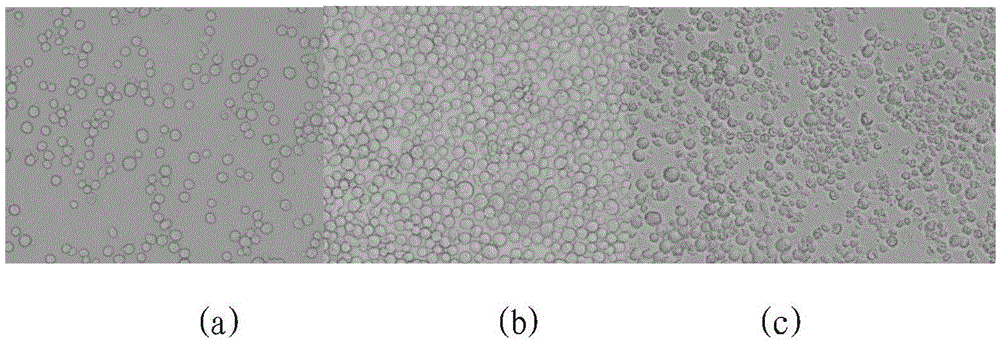 Method for preparing pig sapporo virus antigen