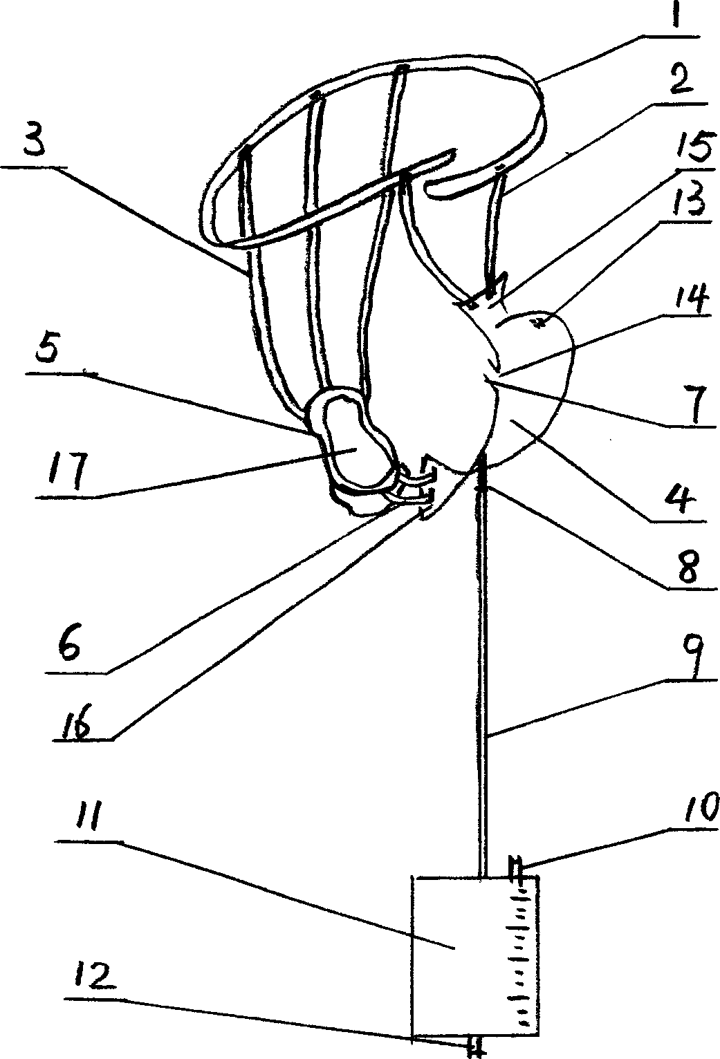 Self-cleaning type feces piss collector for female and male