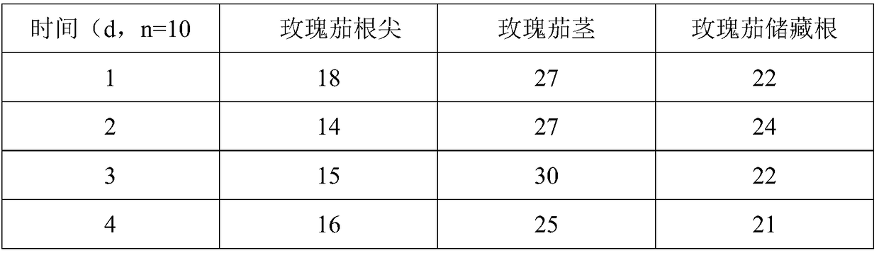 Roselle stem cell freeze-dried powder eye cream and preparation method thereof