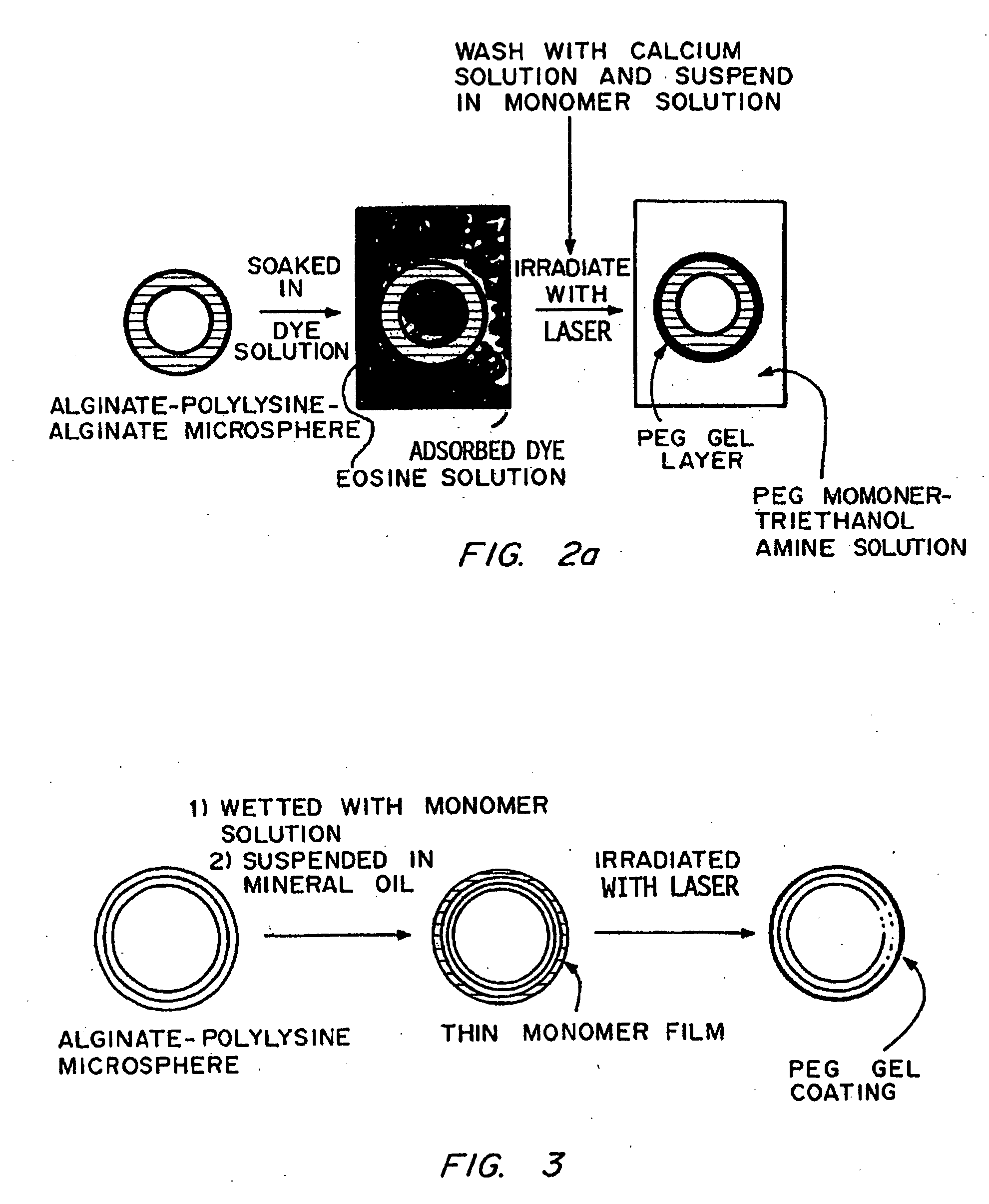 Gels for encapsulation of biological meterials