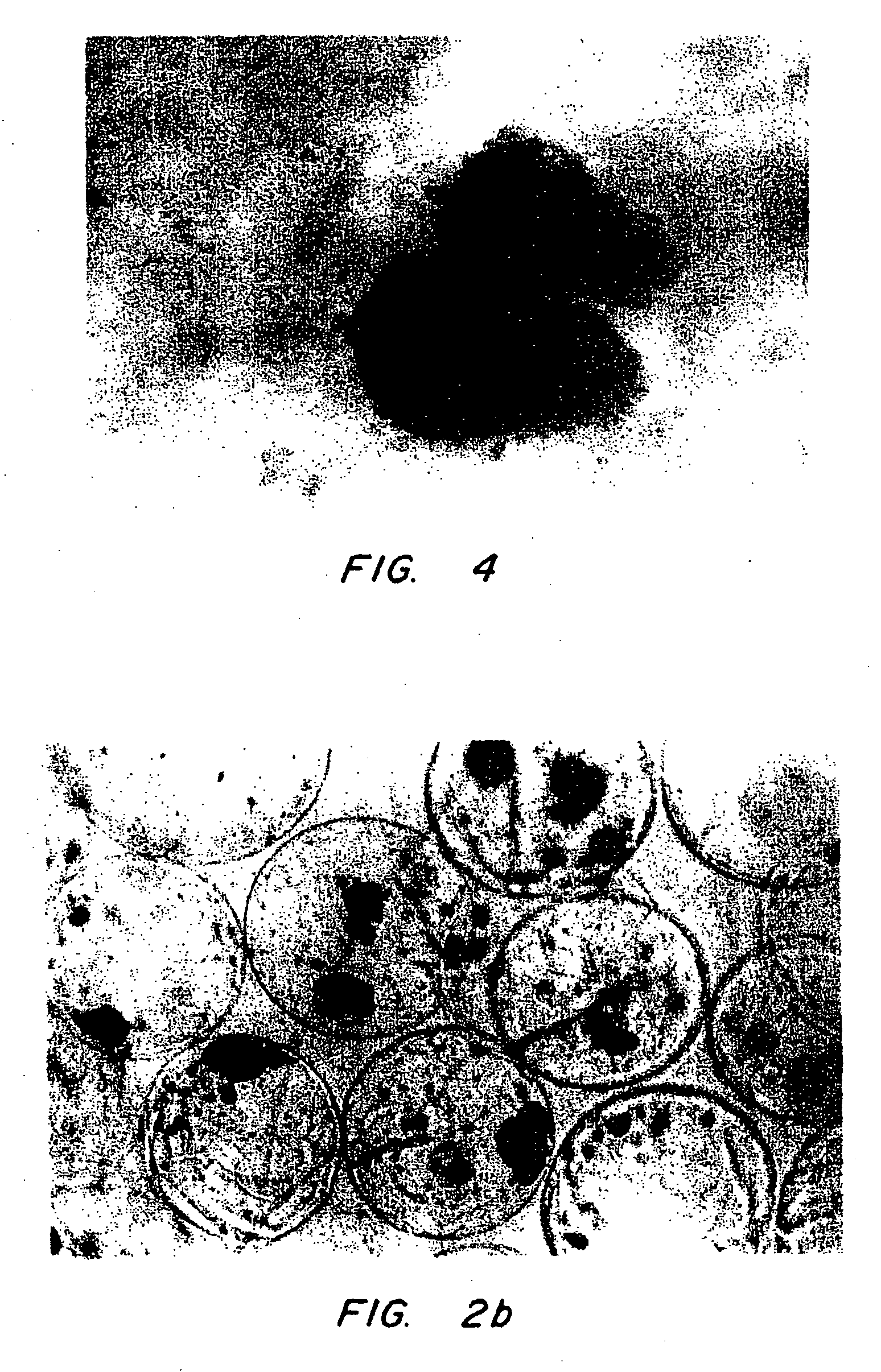 Gels for encapsulation of biological meterials