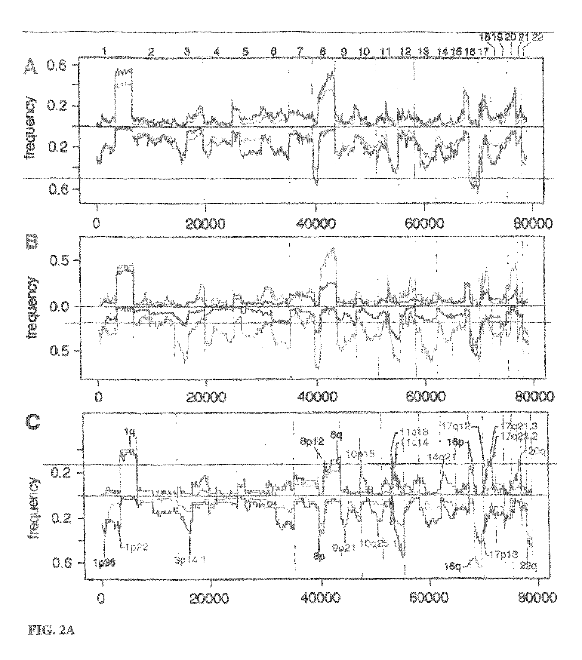 Determining a probabilistic diagnosis of autism by analysis of genomic copy number variations