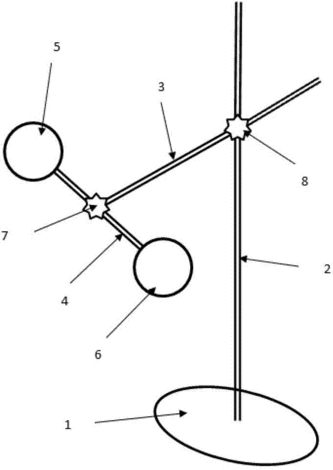 An X-ray image digital measurement and correction device and method