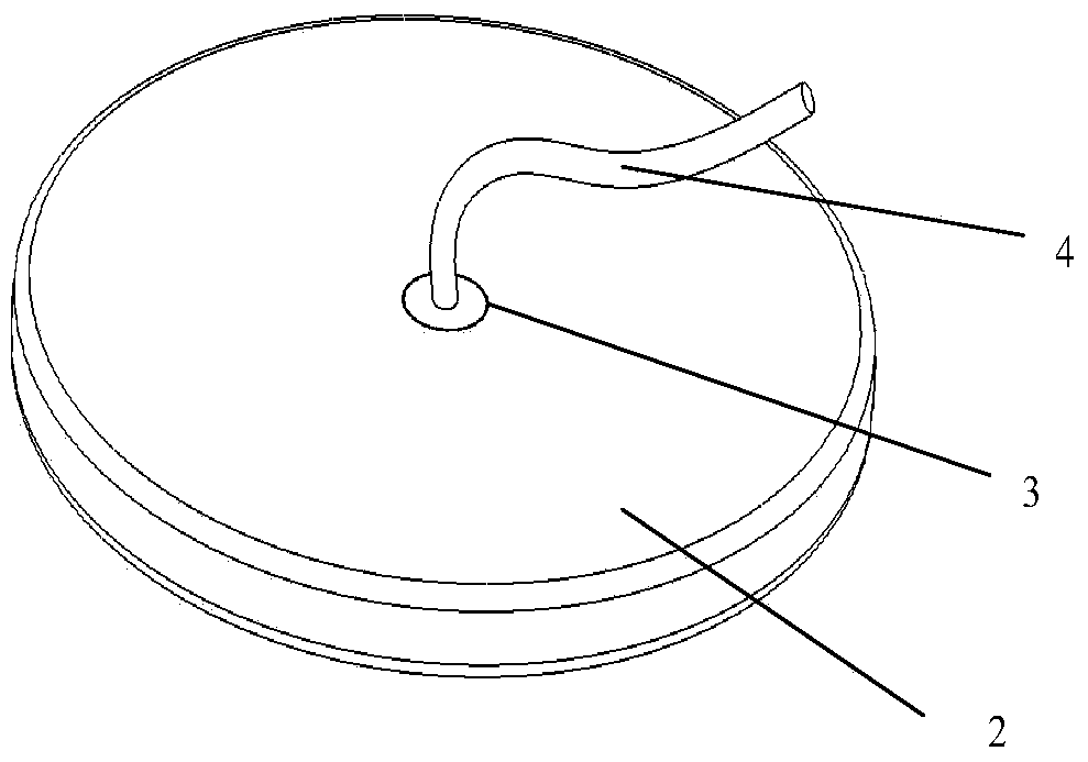 Biomedical electrode with surface micro-structure array and manufacturing method thereof