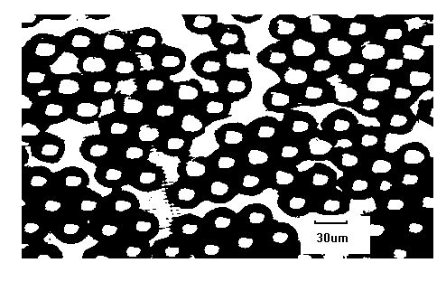 Method for purifying tiacumicin B by high performance liquid chromatography