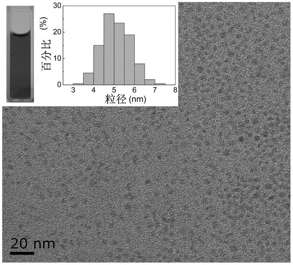 Method for preparing super-stable copper sulfide nano-cluster and application thereof