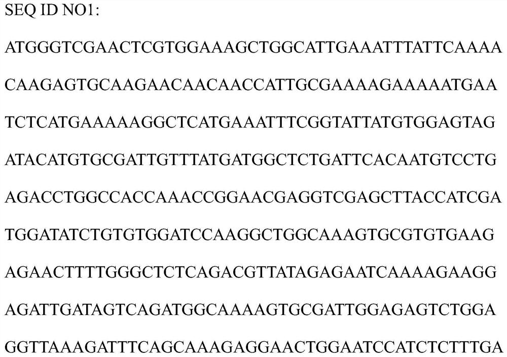 A kind of llimads11 gene isolated from red olive plum and its application method