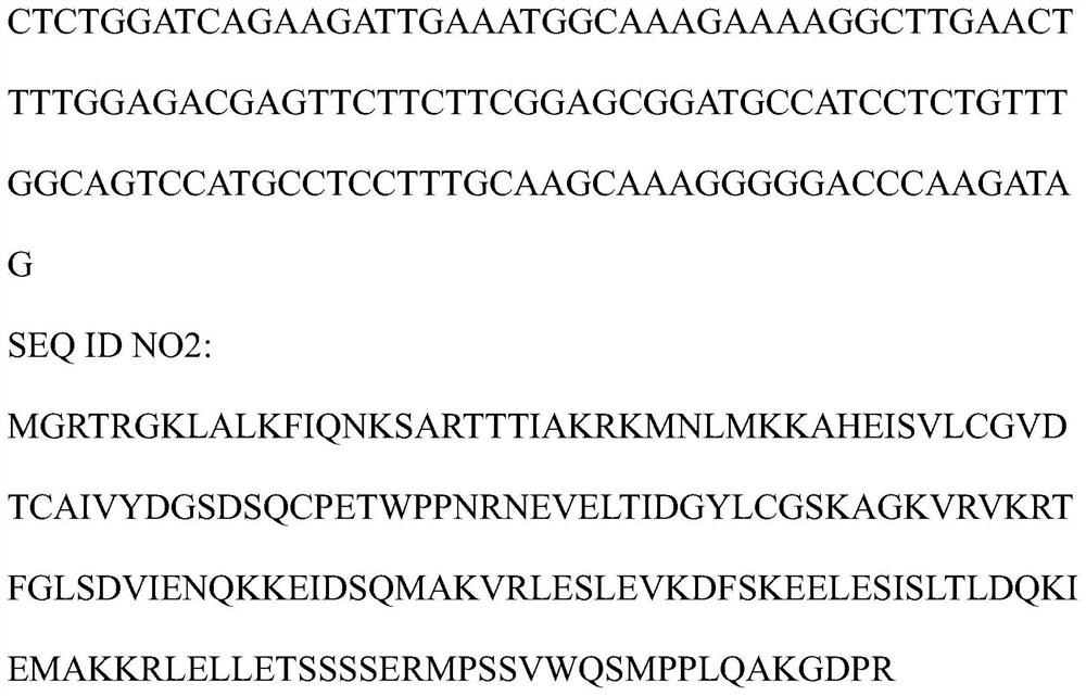 A kind of llimads11 gene isolated from red olive plum and its application method