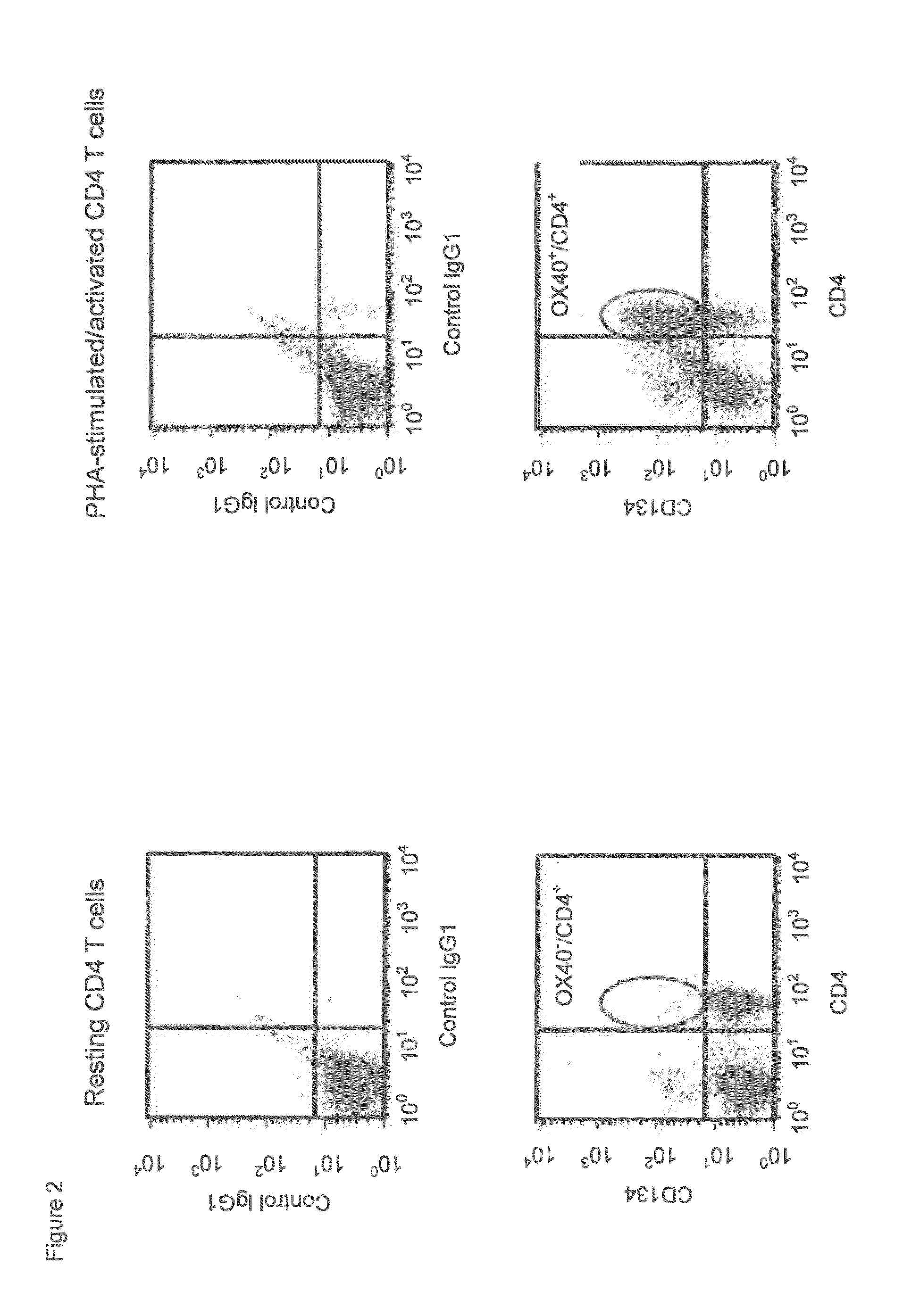 Humanized Anti-cd134 (OX40) antibodies and uses thereof