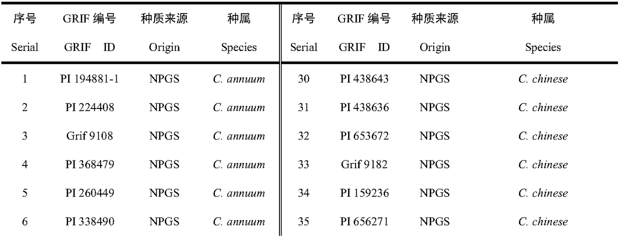 Development and applications of Indel marker capable of distinguishing five pepper cultivated species