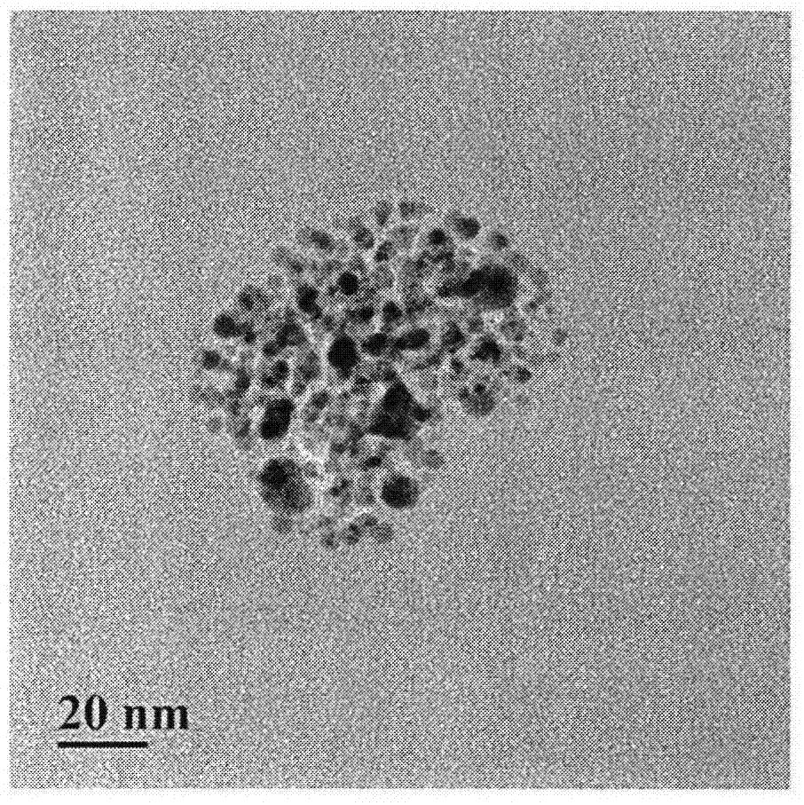 Preparation and phosphoeptide enrichment methods of titanium dioxide/ferroferric oxide nanoparticles