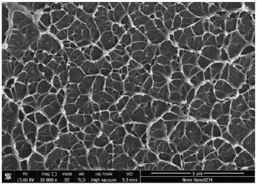 Polybenzimidazole film with nanometer porous structure and preparation method thereof