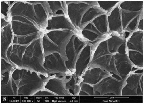 Polybenzimidazole film with nanometer porous structure and preparation method thereof