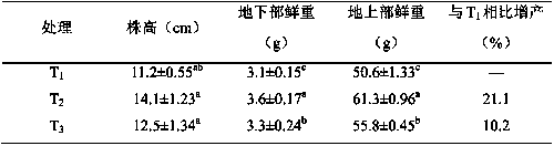 Composite rhamnose gum fertilizer synergist and preparation method thereof