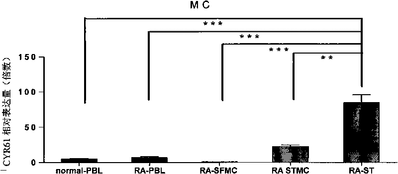 Pharmaceutical application of CYR61 protein